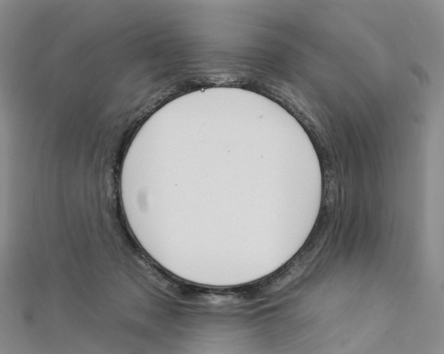 X0000112930317200908241100
