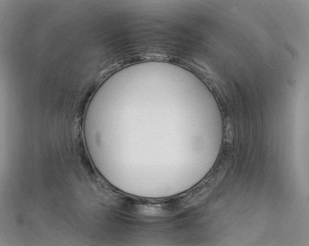 X0000112930318200908241100
