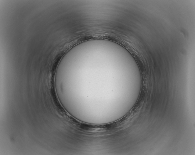 X0000112930319200908241100