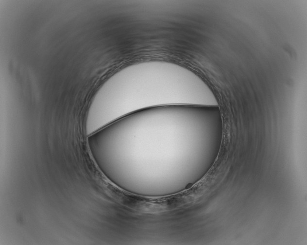 X0000112930320200908241100