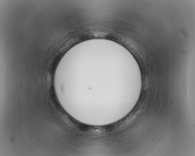X0000112930321200908241100