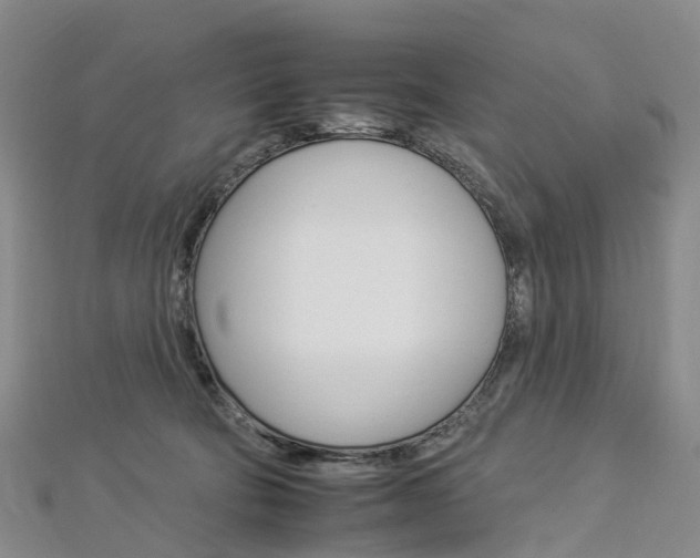 X0000112930322200908241100