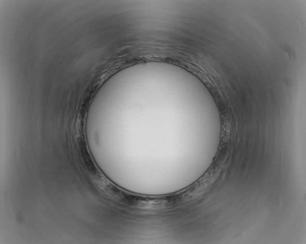 X0000112930323200908241100