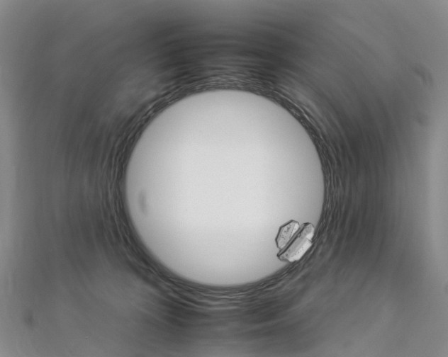 X0000112930324200908241100