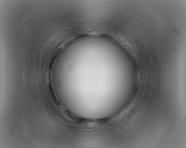X0000112930325200908241100