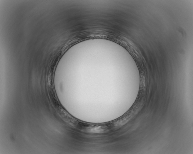 X0000112930326200908241100