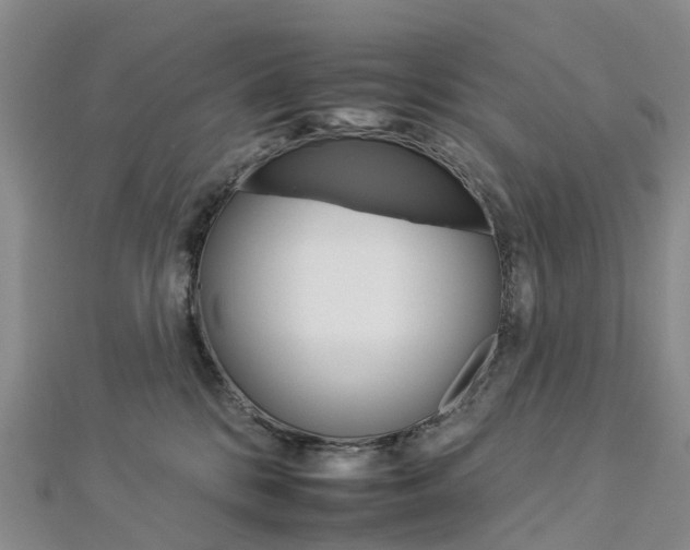 X0000112930328200908241100