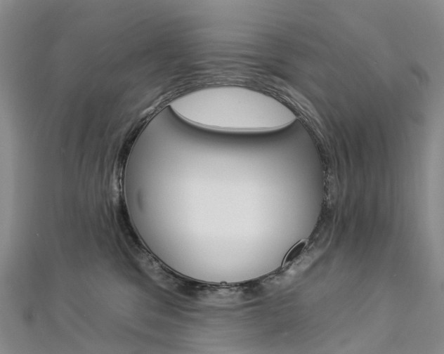 X0000112930329200908241100
