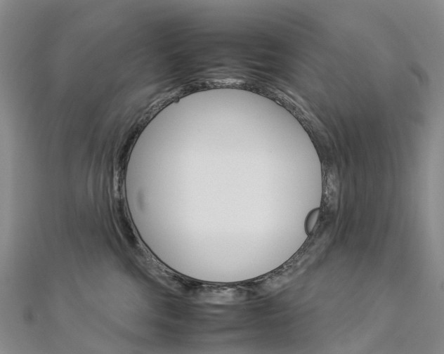 X0000112930330200908241100