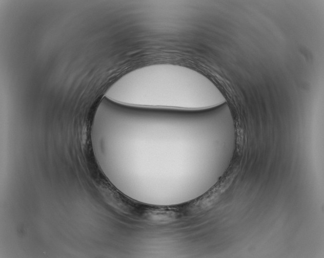 X0000112930331200908241100