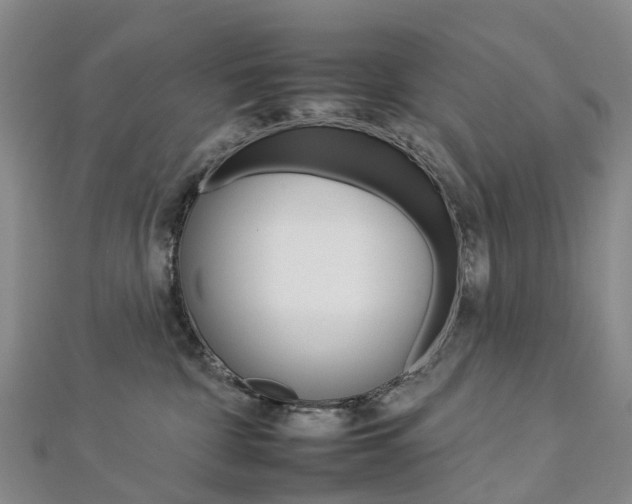 X0000112930332200908241100