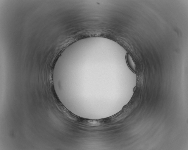 X0000112930335200908241100