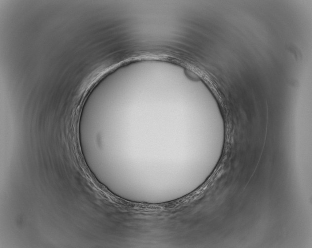X0000112930337200908241059