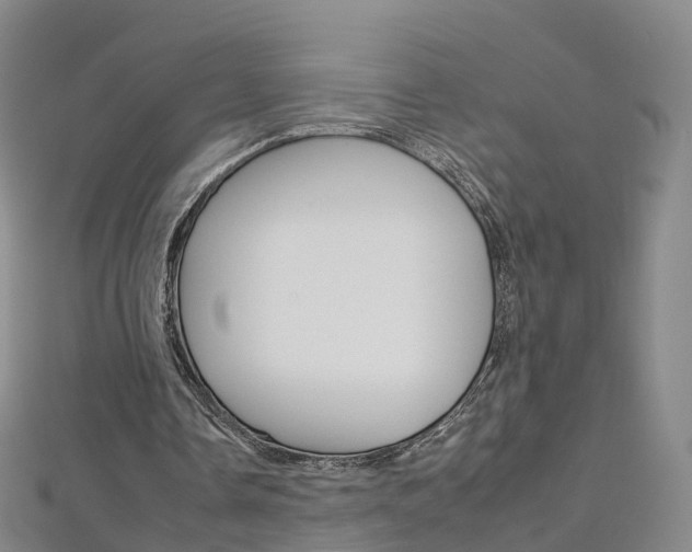 X0000112930338200908241059