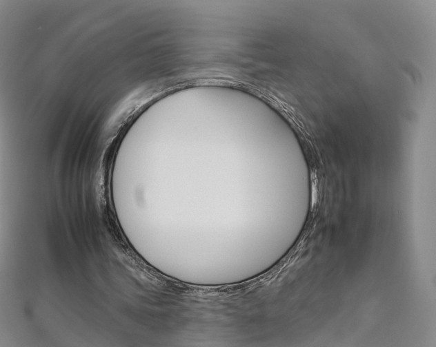 X0000112930339200908241059