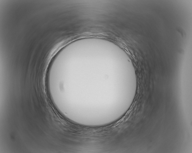 X0000112930340200908241059