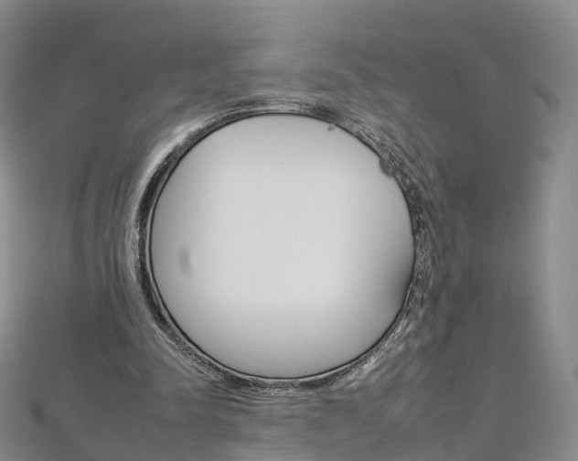 X0000112930342200908241059