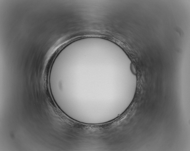 X0000112930343200908241059