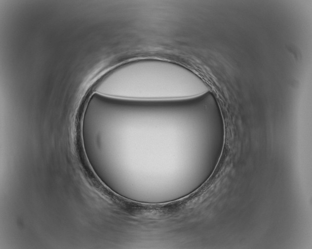 X0000112930344200908241059