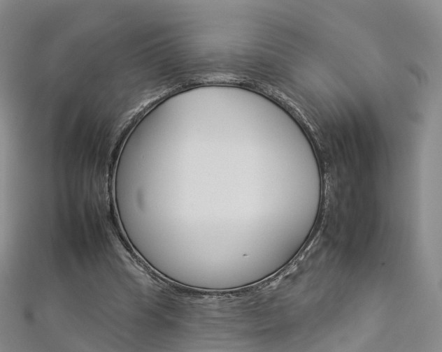 X0000112930345200908241059