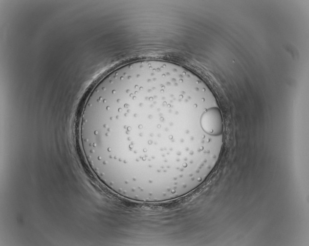 X0000112930346200908241059