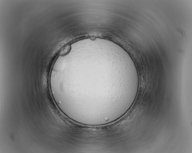 X0000112930347200908241059