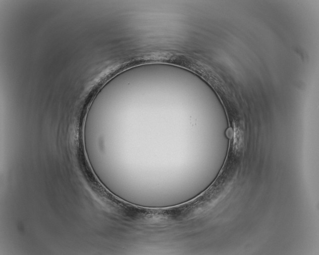 X0000112930348200908241059