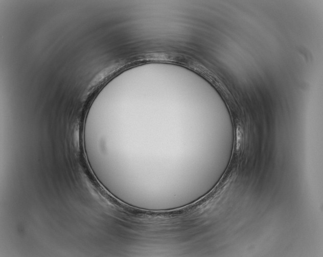 X0000112930349200908241059