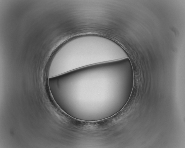 X0000112930350200908241059