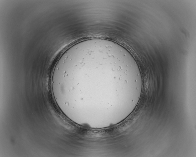 X0000112930351200908241059
