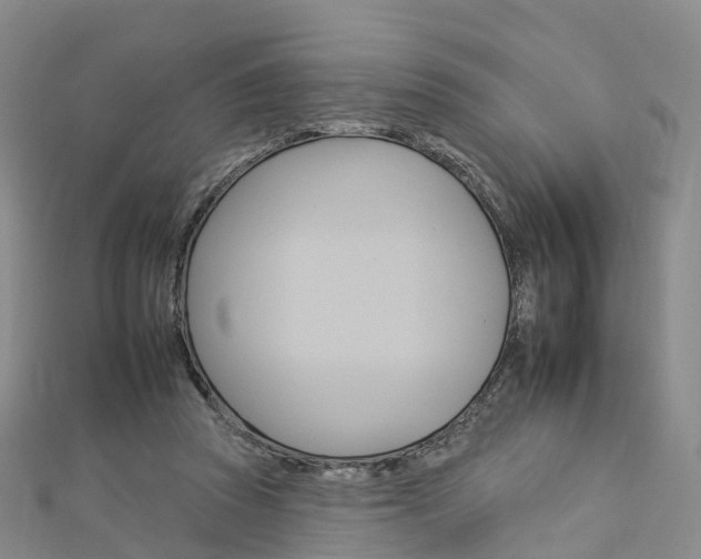 X0000112930353200908241059