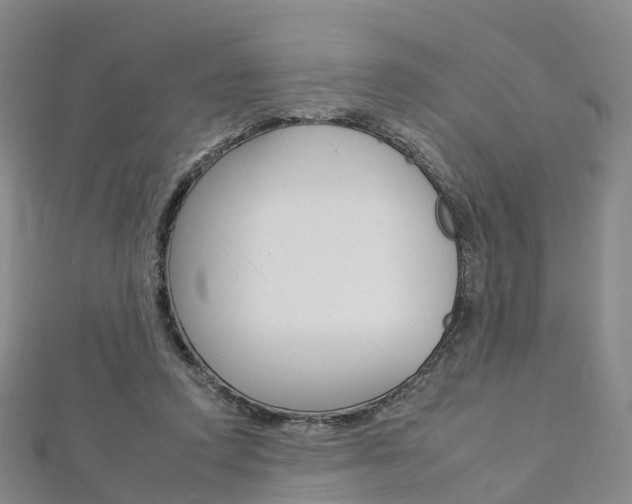 X0000112930354200908241059