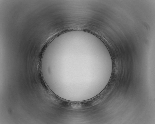 X0000112930355200908241059
