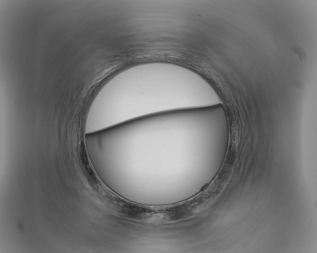X0000112930356200908241059