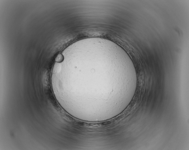 X0000112930359200908241059