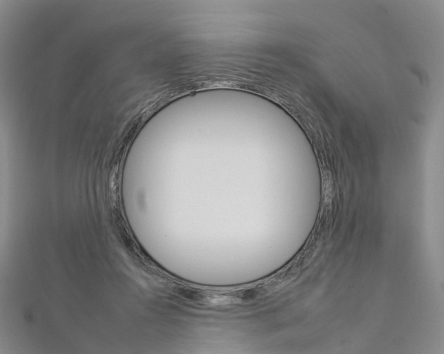 X0000112930360200908241059
