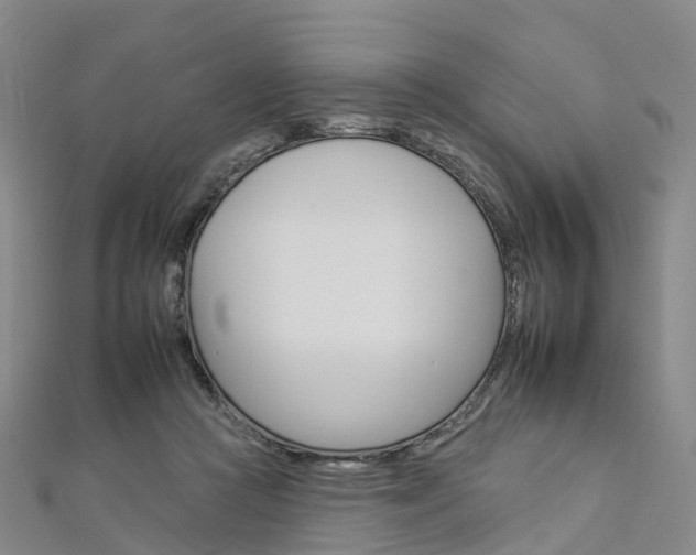 X0000112930361200908241059