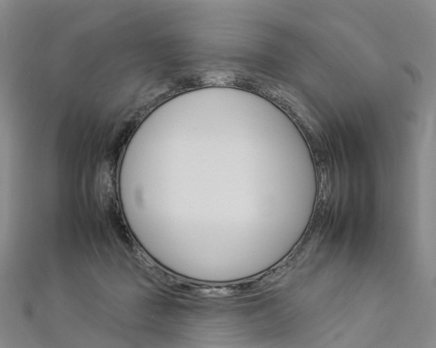 X0000112930363200908241059
