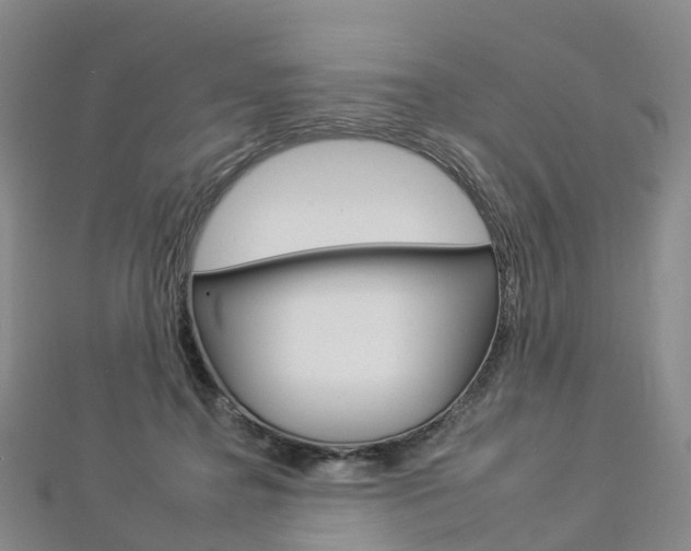 X0000112930364200908241059