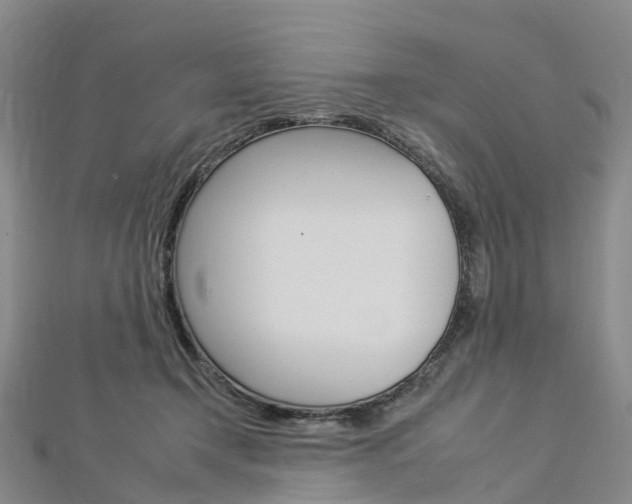 X0000112930366200908241059