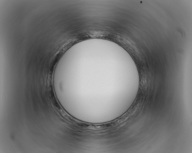 X0000112930367200908241059