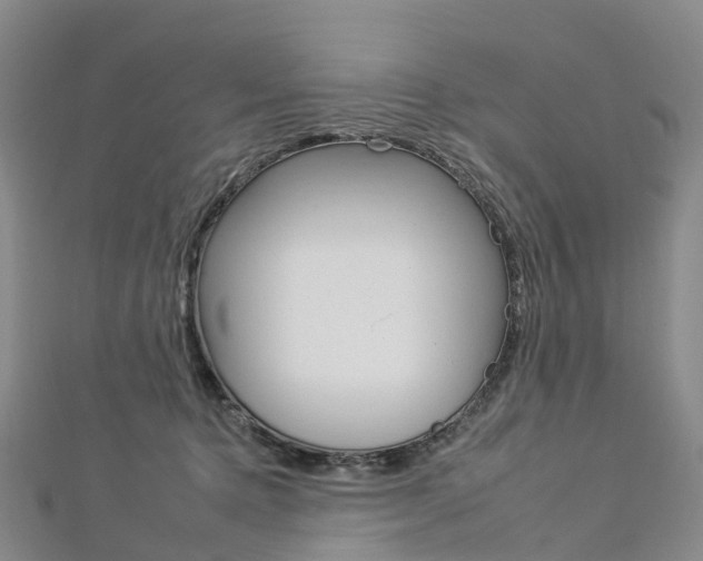 X0000112930368200908241059