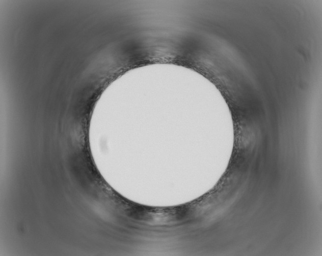 X0000112930370200908241059