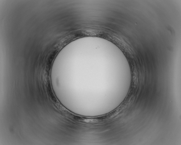 X0000112930371200908241059