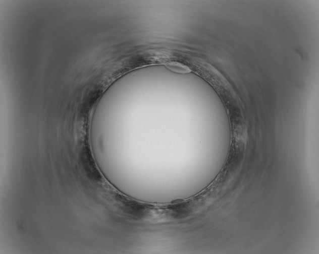 X0000112930372200908241059