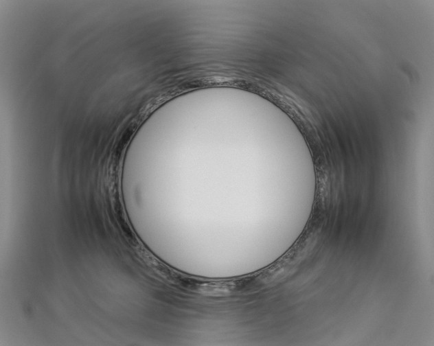 X0000112930373200908241059