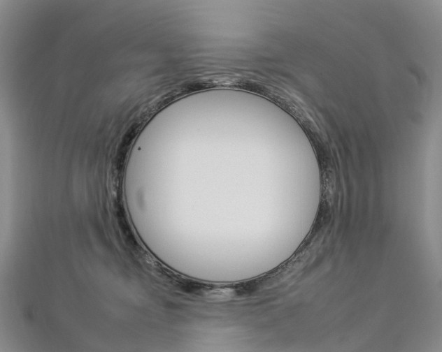 X0000112930374200908241059