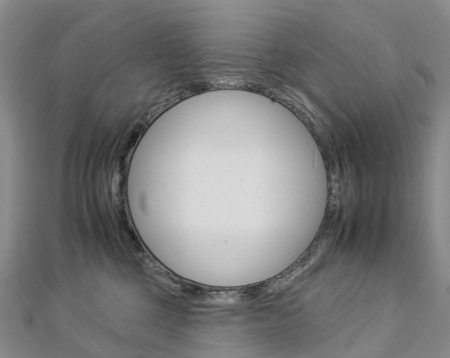 X0000112930377200908241059