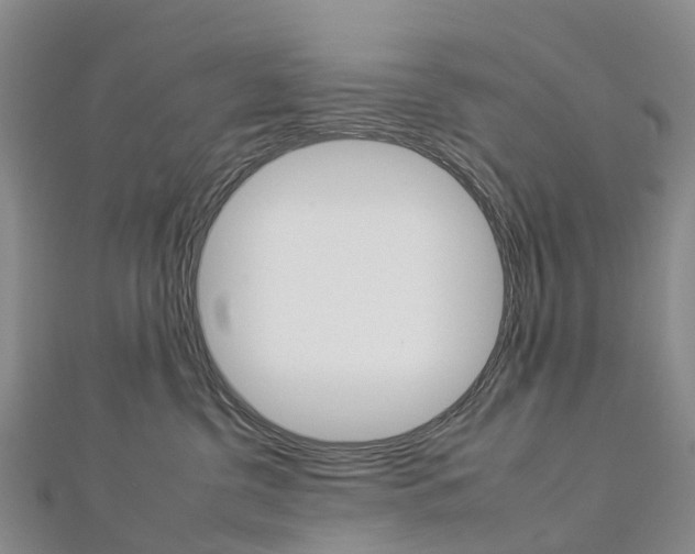 X0000112930380200908241059