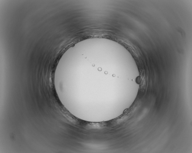 X0000112930381200908241059